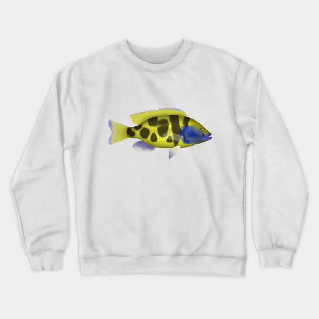 venustus hap Crewneck Sweatshirt by FishFolkArt